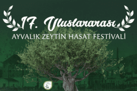 17. Ayvalık Uluslararası Zeytin Hasat Festivali