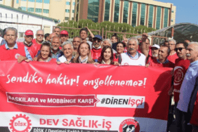 Dev Sağlık İş