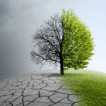 Ege Press Çevre Ekoloji 2