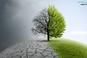 Ege Press Çevre Ekoloji 2