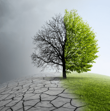 Ege Press Çevre Ekoloji 2