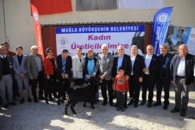 Muğla Büyükşehir Belediyesi Kıl Keçisi