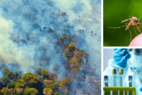 İklim Değişikliği ve hastalıklar