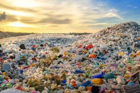 Plastik Çöp Çevre