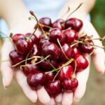 Kiraz Zayıflatır Mı, Faydaları Nelerdir? Kiraz Diyeti ile 3 Günde Yaza Fit Girmek Mümkün!