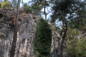 turgutlu-belediyesi-dagcilik-akademisi