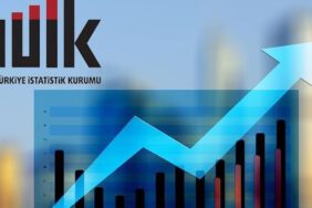 TÜİK açıkladı kasımda fiyatı en çok artan ürün belli oldu