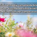 14 Şubat Sevgililer Günü mesajları ve sözleri