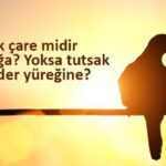 14 Şubat Sevgililer Günü mesajları ve sözleri