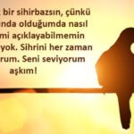14 Şubat Sevgililer Günü mesajları ve sözleri