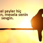 14 Şubat Sevgililer Günü mesajları ve sözleri