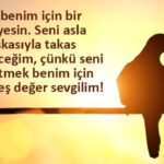 14 Şubat Sevgililer Günü mesajları ve sözleri