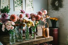 Ametist çiçeği nasıl bakılır?