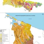 Arnavutköy deprem haritası