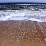 Deniz çekilmesi nedir ve neden olur?