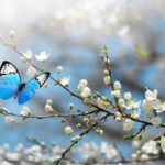 Havaya, suya, toprağa cemre düşme tarihleri!