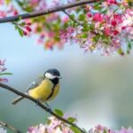 Havaya, suya, toprağa cemre düşme tarihleri!