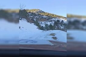 kahramanmarasta-koye-yardim-gotururken-yolunu-kaybeden-konyaalti-belediyesi-ekibine-bir-kopek-yolu-gosterdi