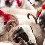 Kurban Bayramı ne zaman başlıyor?