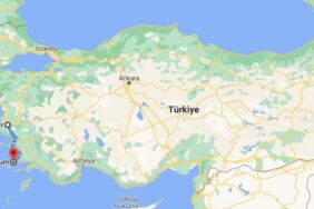 İzmir Bodrum arası kaç km?