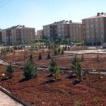 TOKİ Kayseri arsa sonuçları sorgulama