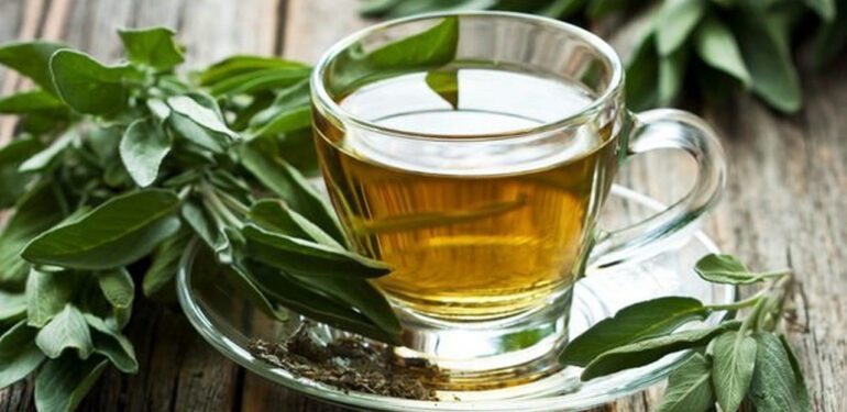 Adaçayı Nedir? Akdeniz Mucizesi Adaçayı Faydaları, Kullanım Şekli ve Zararları