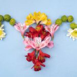 Kadınlarda polistik over sendromuna dikkat