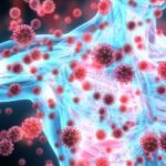 Primer İmmün Yetmezliği Nedir? Primer İmmün Yetmezliği Belirtileri Ve Tedavisi