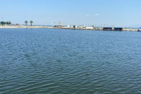 Ege Denizi'nde müsilaj paniği! Dikkat çeken uyarı