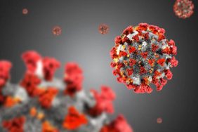 Eris virüsü belirtileri neler, en yaygın belirtisi nedir? Eris virüsü nasıl bulaşır?