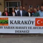 karakoy-av-yaban-hayati-ve-avcil