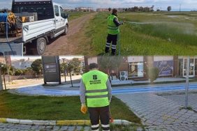 balikesirde-hasere-alarmi