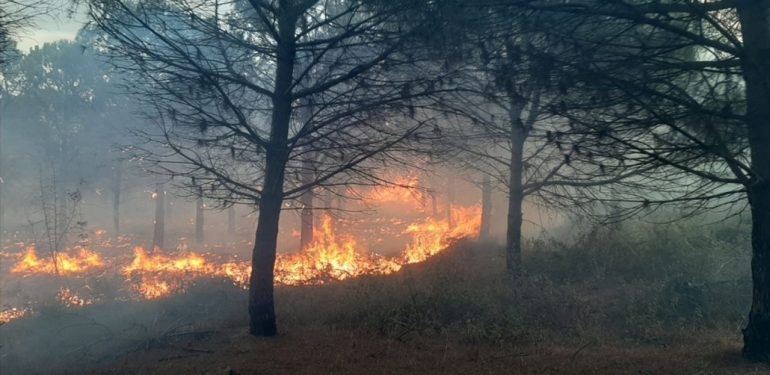 Ünlü: Gördes’te 4 bin 500 hektar alan zarar gördü
