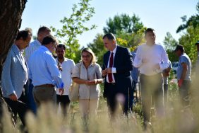 YUNUSEMRE Lavanta hasadı