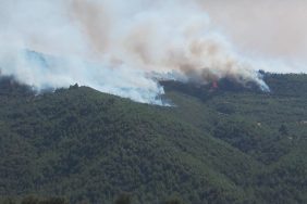 manisa orman yangını