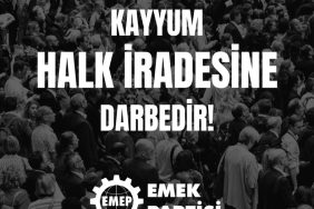 WhatsApp Image 2024-10-30 at 23.13.53