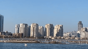flamingo yolu tekne turu