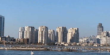 flamingo yolu tekne turu