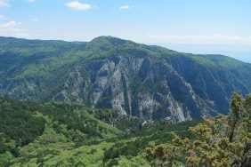 kazdağları orman ağaçlar