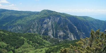 kazdağları orman ağaçlar