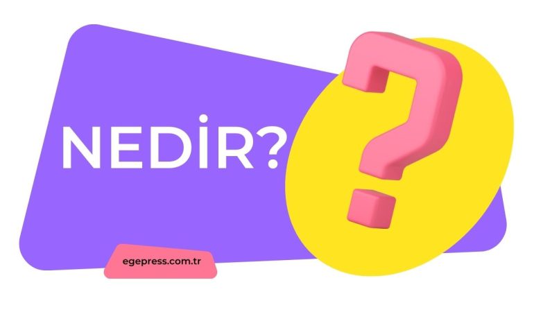 Brie Peyniri: Fransız Lezzetinin Kalorisi, Faydaları ve Doğru Kullanımı