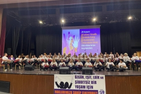 denizli kadına şiddet