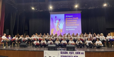 denizli kadına şiddet