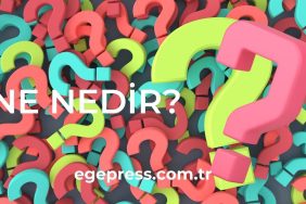 ne nedir (2)