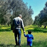 zeytin ağacı baba ve oğul