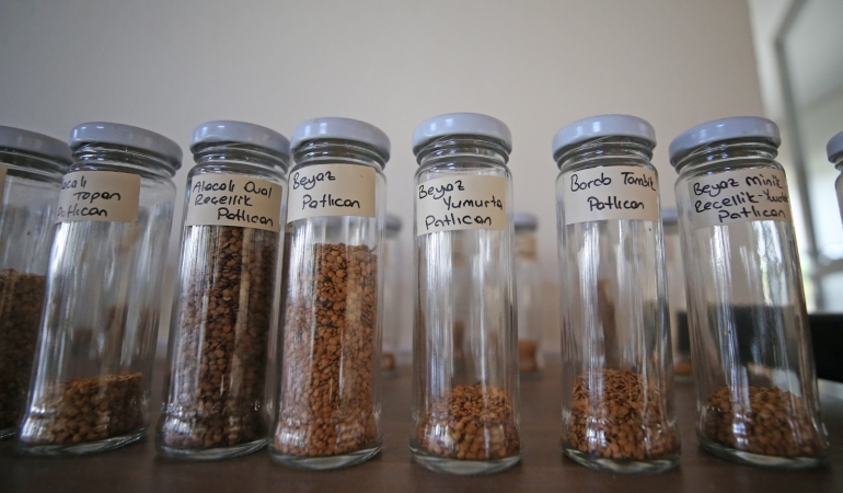 Yaklaşık 500 bin paket tohum vatandaşa ulaştırıldı!