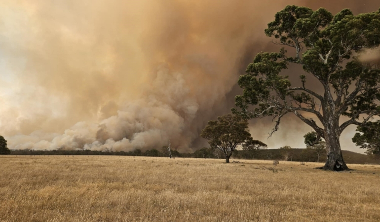 Avustralya’da Orman Yangınları Kontrolden Çıktı!