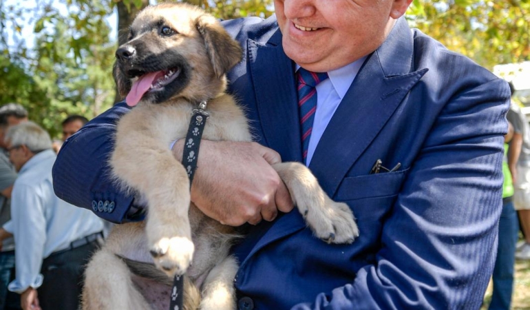 İzmir’de 25 bin hayvan kısırlaştırıldı, bin 200’ü sıcak yuvaya kavuştu 