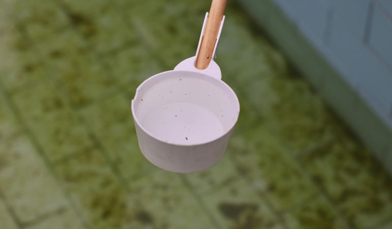 Çeşme’de Sivrisinek ile yoğun mücadele 