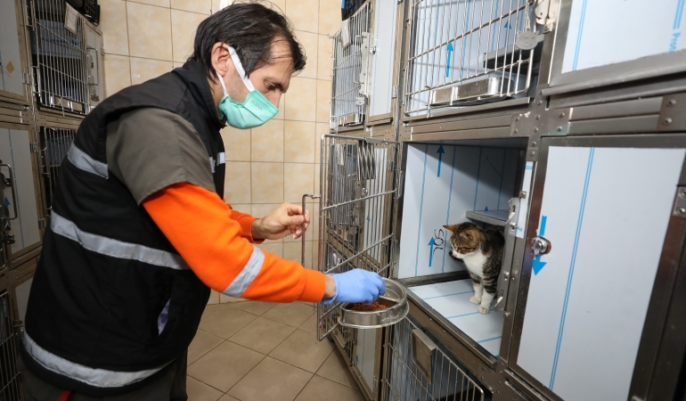 Gaziemir Belediyesi’nden 6 bin 222 can dosta şefkat eli!